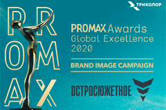        Promax Awards Global Excellence 2020