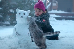 WHISKAS  BBDO Moscow   &quot; &quot;