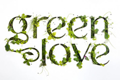 Green Love:       Depot