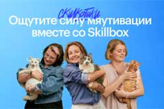 Skillbox        