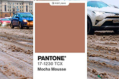   ,     Pantone -   